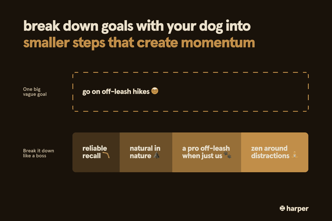 Break down goals into steps
